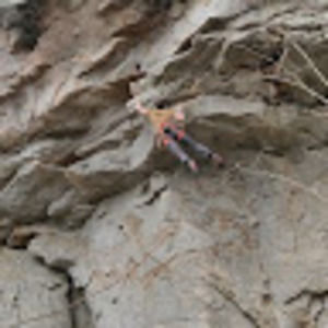 Meet your Posher, Bob